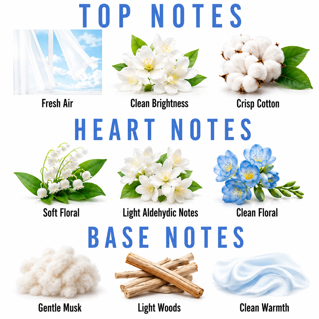 A fragrance notes graphic with the headings TOP NOTES, HEART NOTES, and BASE NOTES. The top notes section shows fresh air, clean brightness, and crisp cotton imagery.
