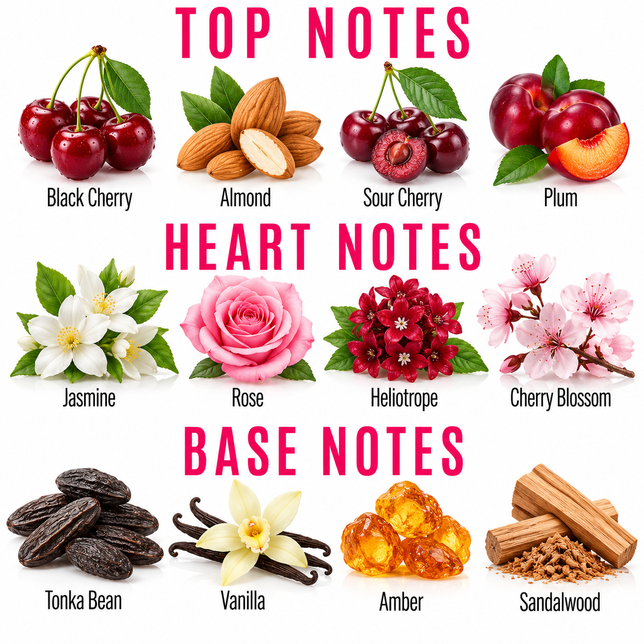 A fragrance notes graphic titled 'TOP NOTES', 'HEART NOTES', and 'BASE NOTES' with illustrated ingredients: cherries, almonds, plums, jasmine flowers, a rose, heliotrope flowers, cherry blossoms, tonka beans, vanilla beans, amber pieces, and sandalwood. This is not a photo of a single physical product in use, and it functions as informational artwork about scent notes rather than a clean product shot, so subject_type is Instruction Diagram rather than Product/Packaging or Color Swatch.