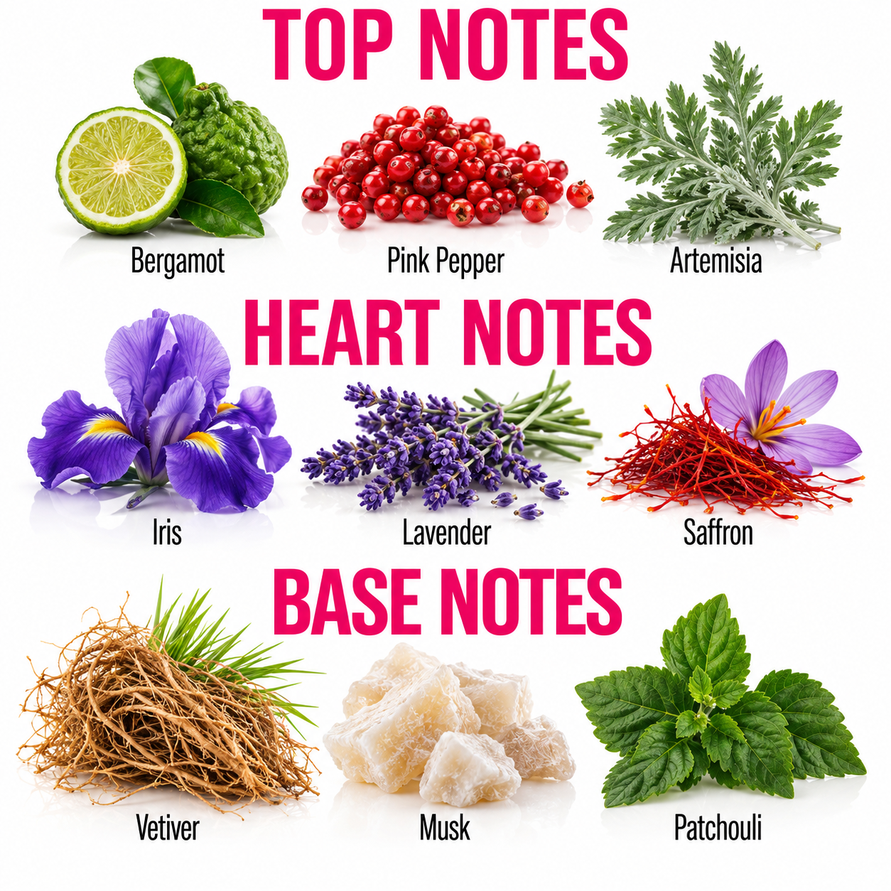 A fragrance notes graphic with the headings TOP NOTES, HEART NOTES, and BASE NOTES. The top notes include Bergamot, Pink Pepper, and Artemisia.