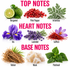A fragrance notes graphic with the headings TOP NOTES, HEART NOTES, and BASE NOTES. The top notes include Bergamot, Pink Pepper, and Artemisia.