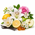 A styled botanical and floral arrangement on a white background featuring a pink rose, white lilies, white blossoms, green leaves, a yellow lemon whole and halved, a green apple halved, vanilla beans, and amber honeycomb pieces.