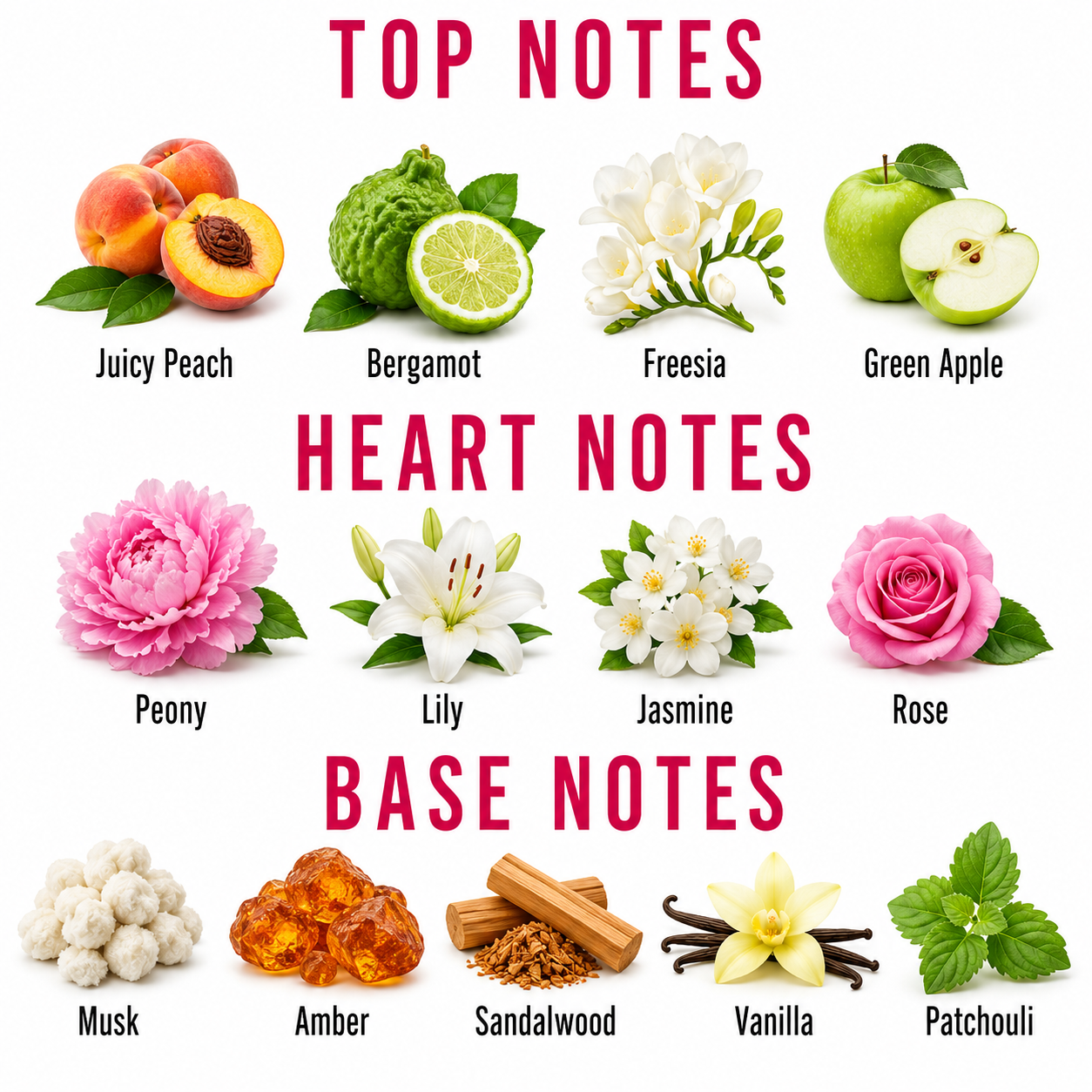 A fragrance scent chart titled 'TOP NOTES', 'HEART NOTES', and 'BASE NOTES' showing illustrated fruits and flowers with labeled scents: juicy peach, bergamot, freesia, green apple, peony, lily, jasmine, rose, musk, amber, sandalwood, vanilla, and patchouli.