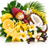 A tropical fruit and flower arrangement on a white background, including a whole and sliced yellow lemon, a halved coconut showing white flesh, star-shaped yellow starfruit, dark brown vanilla beans, green leaves, a magenta flower bud, white plumeria flowers, and small yellow blossoms.
