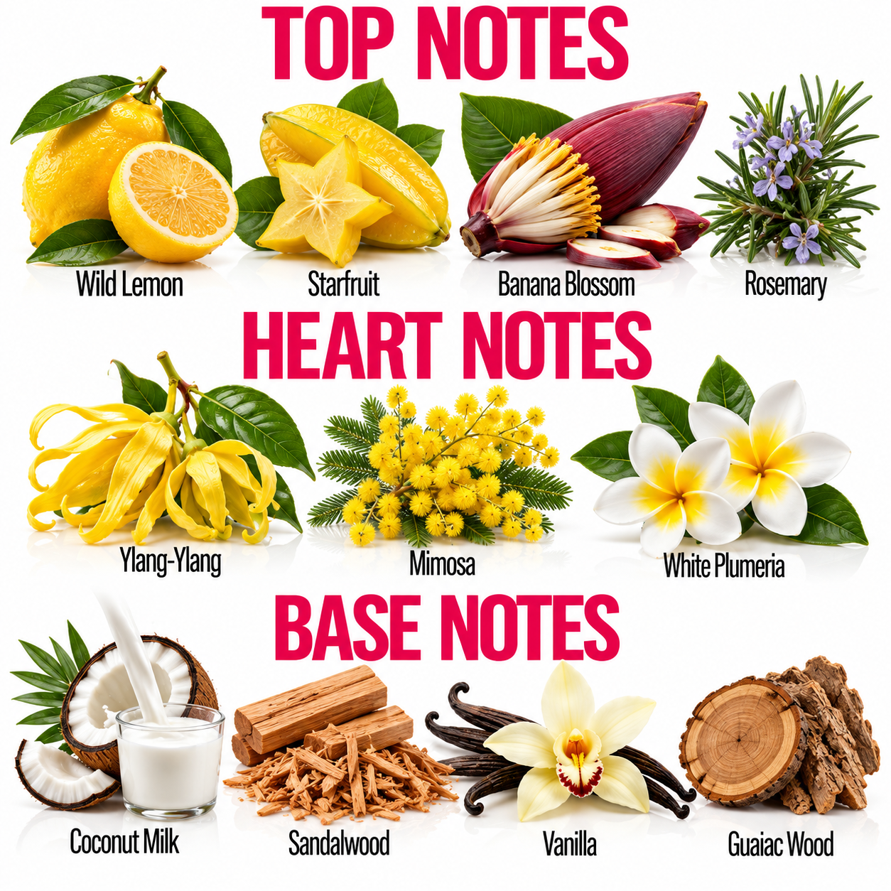 A botanical fragrance notes chart with three labeled sections: Top Notes, Heart Notes, and Base Notes. Each note is paired with a fruit, flower, or wood/food ingredient photo and text including Wild Lemon, Starfruit, Banana Blossom, Rosemary, Ylang-Ylang, Mimosa, White Plumeria, Coconut Milk, Sandalwood, Vanilla, and Guaiac Wood.