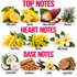 A botanical fragrance notes chart with three labeled sections: Top Notes, Heart Notes, and Base Notes. Each note is paired with a fruit, flower, or wood/food ingredient photo and text including Wild Lemon, Starfruit, Banana Blossom, Rosemary, Ylang-Ylang, Mimosa, White Plumeria, Coconut Milk, Sandalwood, Vanilla, and Guaiac Wood.