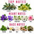 A fragrance notes chart titled 'TOP NOTES', 'HEART NOTES', and 'BASE NOTES' showing illustrated botanicals labeled Eucalyptus, Galbanum, Violet, Orris, Orange Flower, Jasmine, Rose, Patchouli, Vanilla, Musk, Woods, and Moss on a white background.