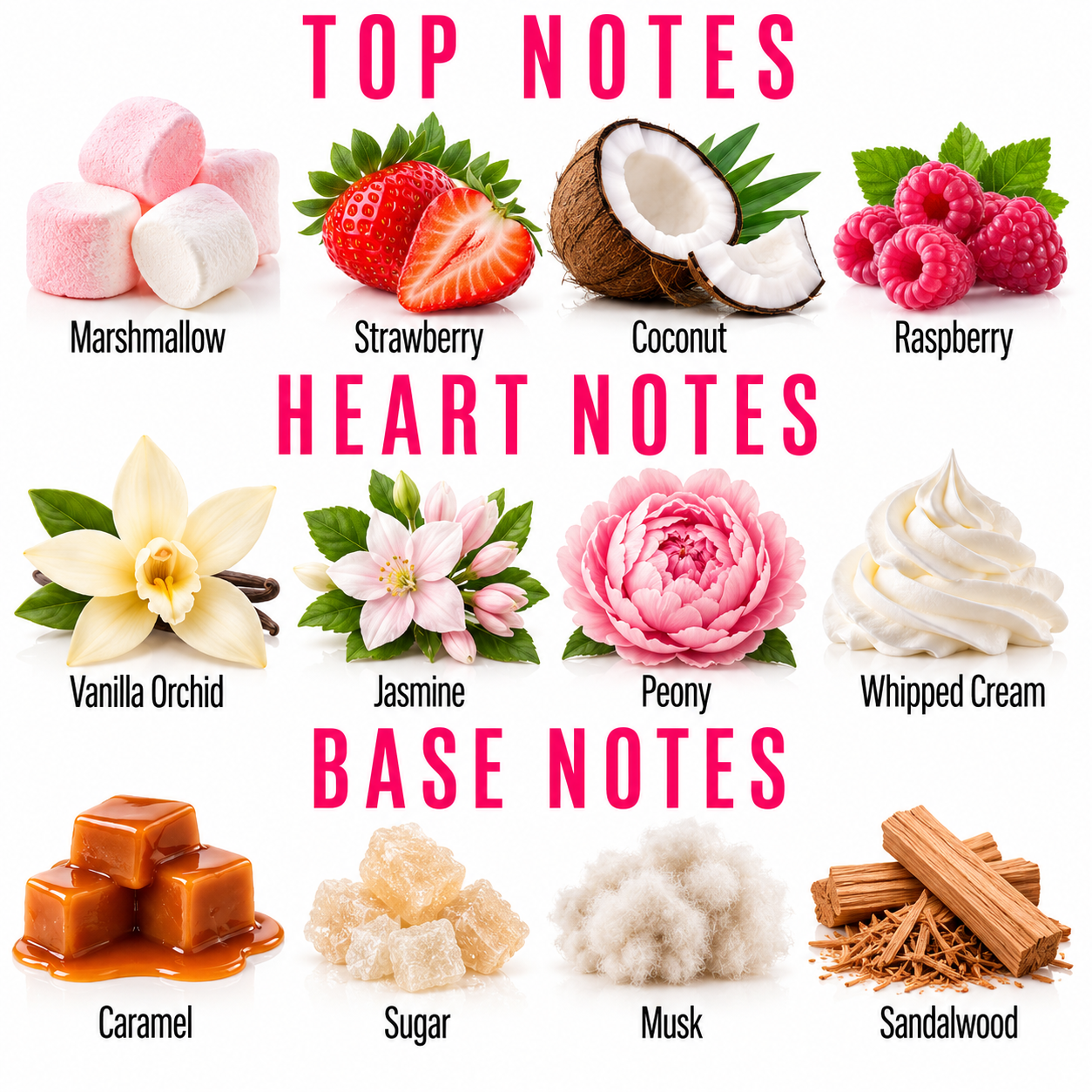 A fragrance notes graphic titled 'TOP NOTES', 'HEART NOTES', and 'BASE NOTES' with illustrated scent ingredients labeled Marshmallow, Strawberry, Coconut, Raspberry, Vanilla Orchid, Jasmine, Peony, Whipped Cream, Caramel, Sugar, Musk, and Sandalwood on a white background.