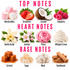 A fragrance notes graphic titled 'TOP NOTES', 'HEART NOTES', and 'BASE NOTES' with illustrated scent ingredients labeled Marshmallow, Strawberry, Coconut, Raspberry, Vanilla Orchid, Jasmine, Peony, Whipped Cream, Caramel, Sugar, Musk, and Sandalwood on a white background.