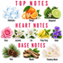 A fragrance notes infographic on a white background, divided into Top Notes, Heart Notes, and Base Notes. The top notes feature aldehydes (water droplets), orange (orange slice, peel, and bergamot), and bergamot.