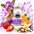 A bottle of Fizzy Whiz Miracle Shampoo fragrance oil stands in the center, surrounded by illustrated fruit and spa-themed elements including strawberries, orange slices, vanilla flowers, beans, bubbles, and a cartoon kangaroo wrapped in a purple towel. The product label reads 'Fizzy Whiz Miracle Shampoo Fragrance Oil.