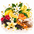 A colorful arrangement of citrus fruits, white flowers, vanilla beans, raspberries, amber crystals, cinnamon sticks, and petals on a clean white background.