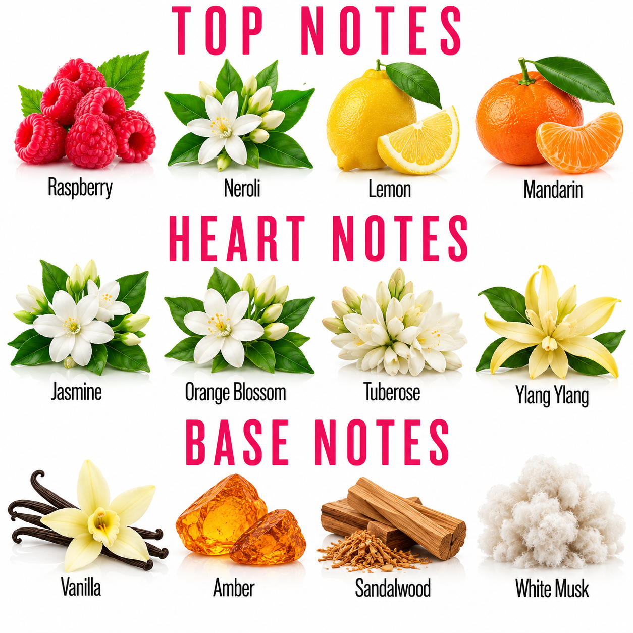 A fragrance notes graphic on a white background with pink headers reading TOP NOTES, HEART NOTES, and BASE NOTES. The top notes section shows raspberries, neroli flowers, lemon, and mandarin with labels.