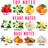 A fragrance notes graphic on a white background with pink headers reading TOP NOTES, HEART NOTES, and BASE NOTES. The top notes section shows raspberries, neroli flowers, lemon, and mandarin with labels.