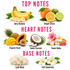 A fragrance notes graphic with fruit and flower illustrations labeled by scent family: Juicy Banana, Bright Citrus, Tropical Fruits, Sweet Coconut, Sweet Notes, Light Musk, and Soft Sweetness under the headings TOP NOTES, HEART NOTES, and BASE NOTES.