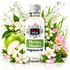 A bottle of Fizzy Whiz Morning Meadow Fragrance Oil centered on a white background, surrounded by decorative botanical elements including a green apple, white blossoms, pink flowers, green leaves, and water droplets. The bottle has a clear cap, clear liquid, and a white label with green and black text.