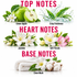 A fragrance notes graphic with the headings 'TOP NOTES', 'HEART NOTES', and 'BASE NOTES' on a white background. Top notes are shown with a green apple and water splash labeled 'Green Apple' and 'Crisp Freshness'; heart notes are shown with white and pink flowers labeled 'Jasmine' and 'Soft Florals'; base notes are shown with a folded white towel and cotton labeled 'Clean Musk'.