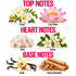 A fragrance notes graphic on a white background with the headings TOP NOTES, HEART NOTES, and BASE NOTES. Top notes shown are freesia with white flowers and green leaves, lotus flower with pink petals and yellow center, musk as a fluffy off-white texture, and jasmine with white flowers and green leaves.