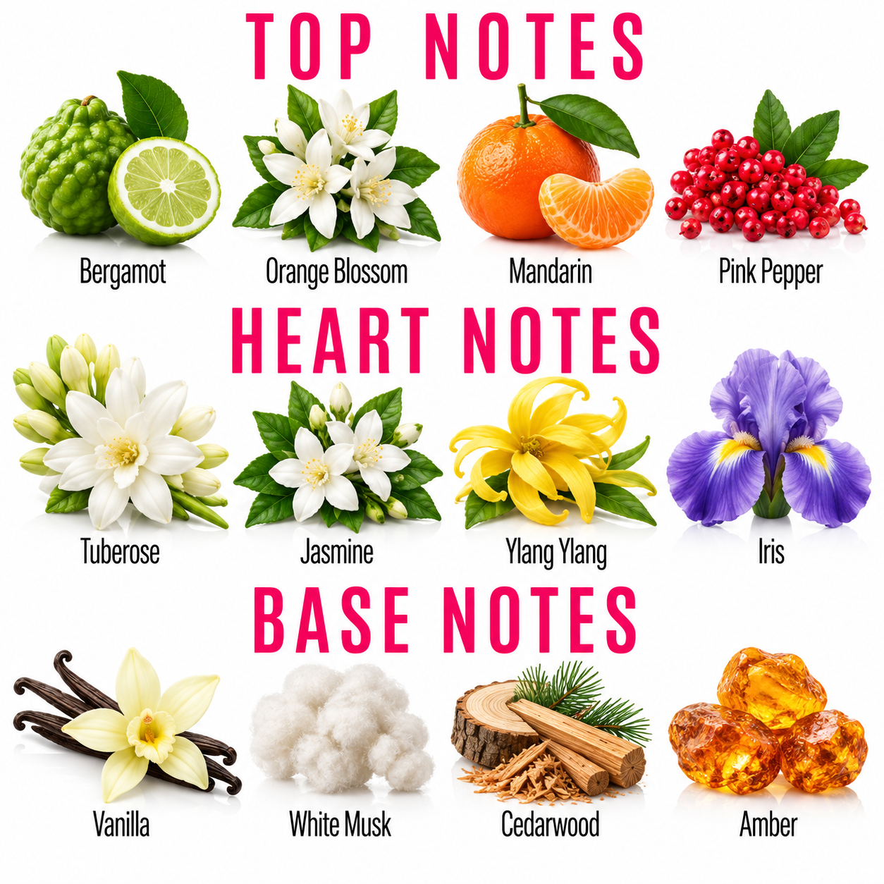 A fragrance notes graphic with the headings TOP NOTES, HEART NOTES, and BASE NOTES. Each note is shown with a small photo of the ingredient and a name underneath: Bergamot, Orange Blossom, Mandarin, Pink Pepper, Tuberose, Jasmine, Ylang Ylang, Iris, Vanilla, White Musk, Cedarwood, and Amber.