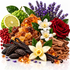 A styled botanical still life featuring amber crystals, vanilla beans, a sliced lime, red berries, a red rose, white blossoms, purple lavender, and green leaves on a white background.