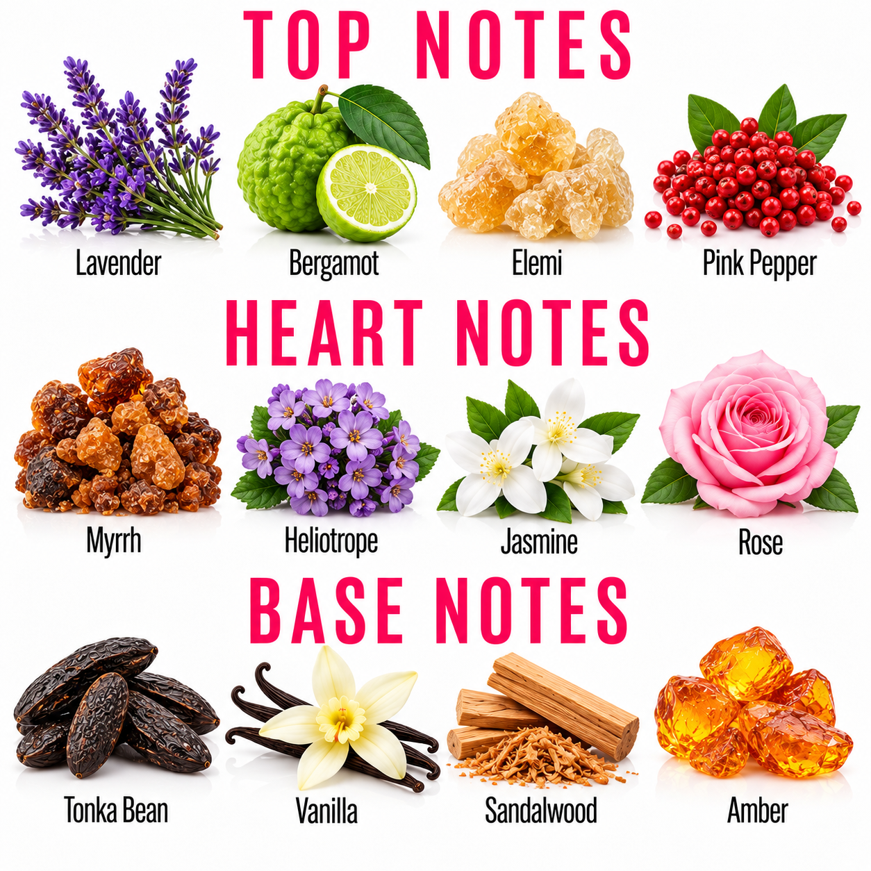 A fragrance notes graphic with pink text reading TOP NOTES, HEART NOTES, and BASE NOTES above photos of botanical and spice ingredients. Visible ingredients include lavender, bergamot, elemi, pink pepper, myrrh, heliotrope, jasmine, rose, tonka bean, vanilla, sandalwood, and amber, each labeled underneath on a white background.