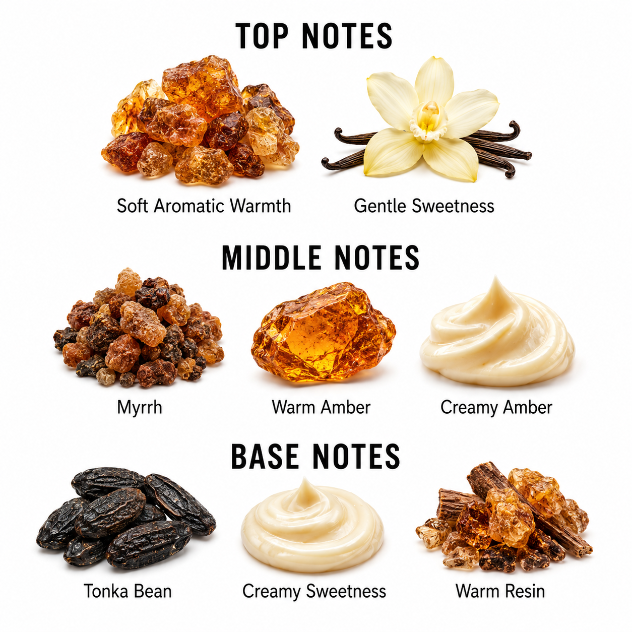 A fragrance notes infographic on a white background, showing top, middle, and base notes with labeled imagery: soft aromatic warmth, gentle sweetness, myrrh, warm amber, creamy amber, tonka bean, creamy sweetness, and warm resin.