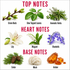 A fragrance notes chart on a white background with red headers reading TOP NOTES, HEART NOTES, and BASE NOTES. The chart shows botanical and scent examples labeled Green Buds, Dew Topped Leaves, Aromatic Herbs, Lily, Muguet, Bluebells, Cedar, Musk, and Amber.