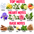 A botanical fragrance chart titled 'TOP NOTES', 'HEART NOTES', and 'BASE NOTES' with labeled illustrations of flowers, bark, and herbs: Aldehydes, Ylang-Ylang, Neroli, Bergamot, Peach, Iris, Jasmine, Rose, Lily of the Valley, Sandalwood, Oakmoss, Vanilla, Patchouli, and Vetiver.