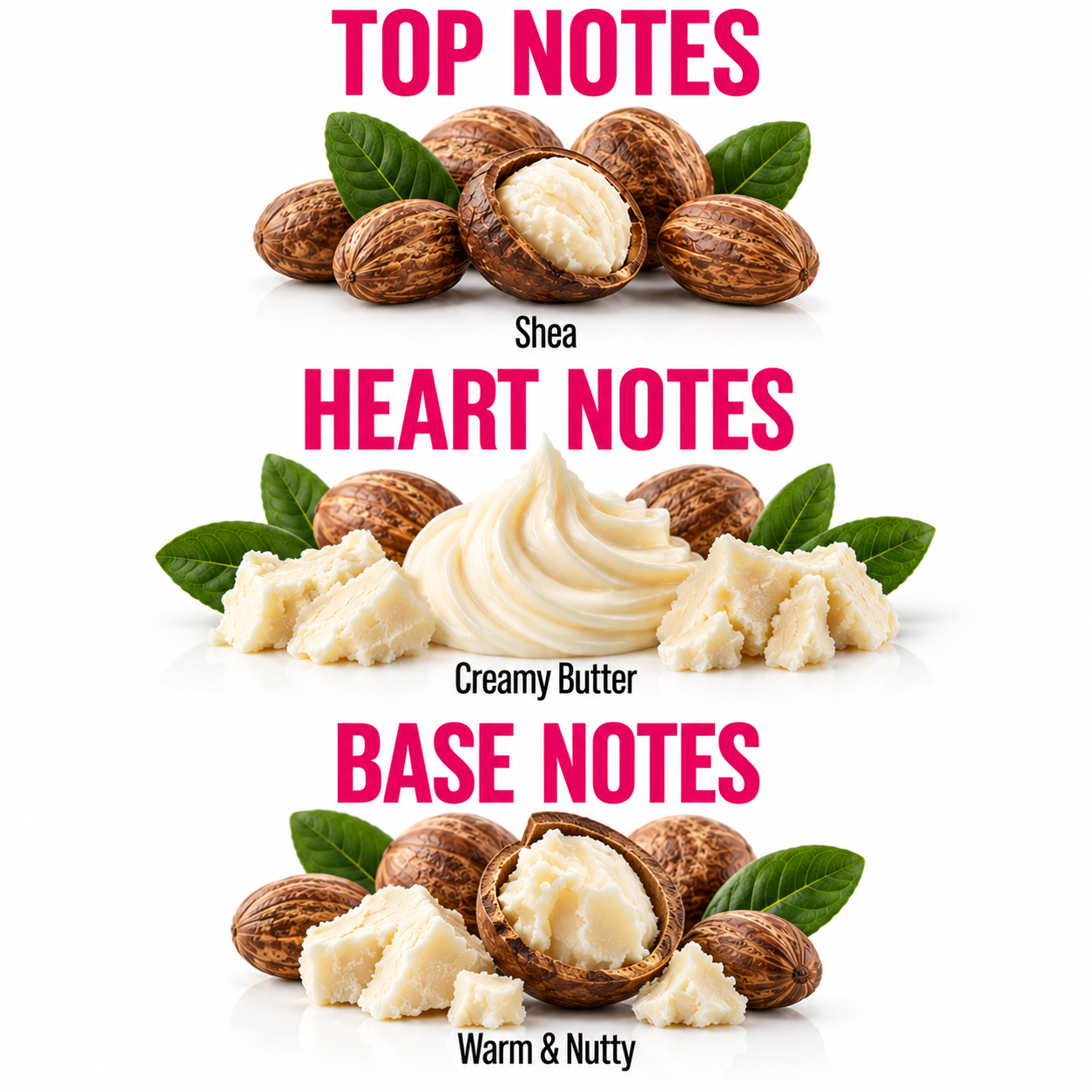 A vertical infographic showing fragrance notes: Top Notes with shea nuts and creamy shea, Heart Notes with creamy butter and nut pieces, and Base Notes with warm nutty shea pieces, labeled in pink text on a white background.