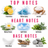 A fragrance notes graphic with the headings TOP NOTES, HEART NOTES, and BASE NOTES on a white background. Fresh Citrus shows lemons with water splashes; Marine Spray shows ocean water; Sea Salt shows salt in a wooden bowl with starfish; Watery Florals shows a white lotus flower; Light Ozone shows clouds; Soft Herbs shows green herbs; White Musk shows a white feather; Driftwood shows wood pieces; Clean Warmth shows smooth stones with green leaves.