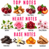 A fragrance notes graphic titled 'TOP NOTES', 'HEART NOTES', and 'BASE NOTES' with illustrated ingredients: cherries, almonds, plums, jasmine flowers, a rose, heliotrope flowers, cherry blossoms, tonka beans, vanilla beans, amber pieces, and sandalwood. This is not a photo of a single physical product in use, and it functions as informational artwork about scent notes rather than a clean product shot, so subject_type is Instruction Diagram rather than Product/Packaging or Color Swatch.