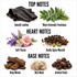A fragrance notes graphic on a white background showing top, heart, and base notes with ingredient imagery. Top notes include smooth black leather and green herb sprigs labeled 'Warm Aromatic Freshness.
