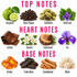 An infographic showing fragrance notes arranged in three sections labeled TOP NOTES, HEART NOTES, and BASE NOTES. The notes include Bergamot, Black Pepper, Cardamom, Violet Leaf, Leather, Jasmine, Cedarwood, Iris, Amber, Tonka Bean, Sandalwood, and Musk, each pictured with a small photo of the ingredient and a pink text label on a white background.