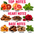 A fragrance notes graphic with the headings TOP NOTES, HEART NOTES, and BASE NOTES. The top notes section shows blood orange, grapefruit, and mint.