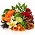 A vibrant botanical and botanical fragrance blend featuring fresh orange slices, a whole orange, a lime half, vanilla beans, white lily of the valley flowers, red carnations, a yellow orchid, green kumpir fruit, and amber resin crystals on a white background.