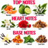 A fragrance notes chart with three labeled sections: TOP NOTES, HEART NOTES, and BASE NOTES. Each section shows a fruit or botanical illustration with the scent name underneath.