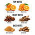 A fragrance notes graphic on a white background showing top, heart, and base notes with ingredient imagery: oranges labeled 'Bitter orange zest' and 'Vibrant citrus,' star anise and aromatic spice under 'Heart Notes,' and brown sugar cubes and cinnamon sticks under 'Base Notes.'.