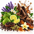 A styled botanical still life featuring dark brown wood bark, sliced lime, green bumpy fruit, purple lavender, white flowers, vanilla beans, cardamom pods, peppercorns, amber crystals, and a wooden bowl on a white background with a glossy liquid splash effect.