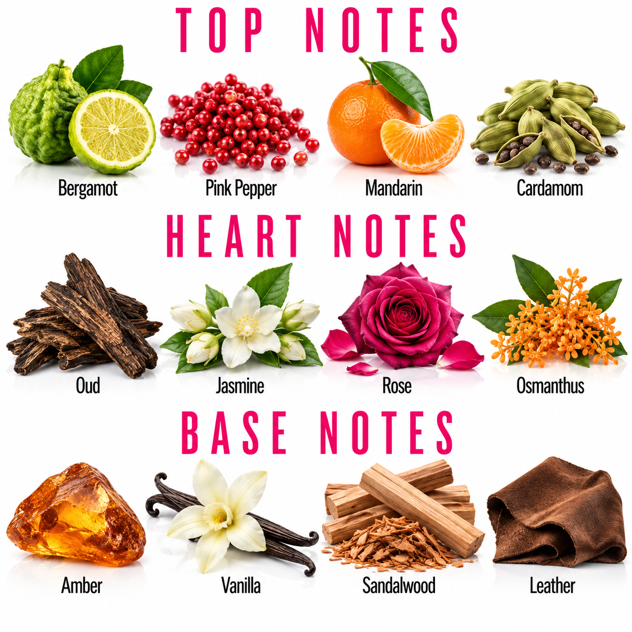 A fragrance notes infographic on a white background, divided into Top Notes, Heart Notes, and Base Notes. Each category features a photo of a scent ingredient labeled with its name, such as Bergamot, Pink Pepper, Mandarin, Cardamom, Oud, Jasmine, Rose, Osmanthus, Amber, Vanilla, Sandalwood, and Leather.