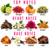 A fragrance notes infographic on a white background, divided into Top Notes, Heart Notes, and Base Notes. Each category features a photo of a scent ingredient labeled with its name, such as Bergamot, Pink Pepper, Mandarin, Cardamom, Oud, Jasmine, Rose, Osmanthus, Amber, Vanilla, Sandalwood, and Leather.
