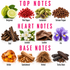 An educational fragrance composition chart displaying top, heart, and base notes with corresponding photographic ingredient illustrations. The top section features Bergamot, Pink Pepper, Cardamom, and Sichuan Pepper under the heading 'TOP NOTES' in pink.