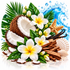 A tropical-themed decorative arrangement featuring halved coconuts, white plumeria flowers with yellow centers, green leaves, vanilla beans, shells, a starfish, and wood pieces on a white background with a blue water splash graphic.