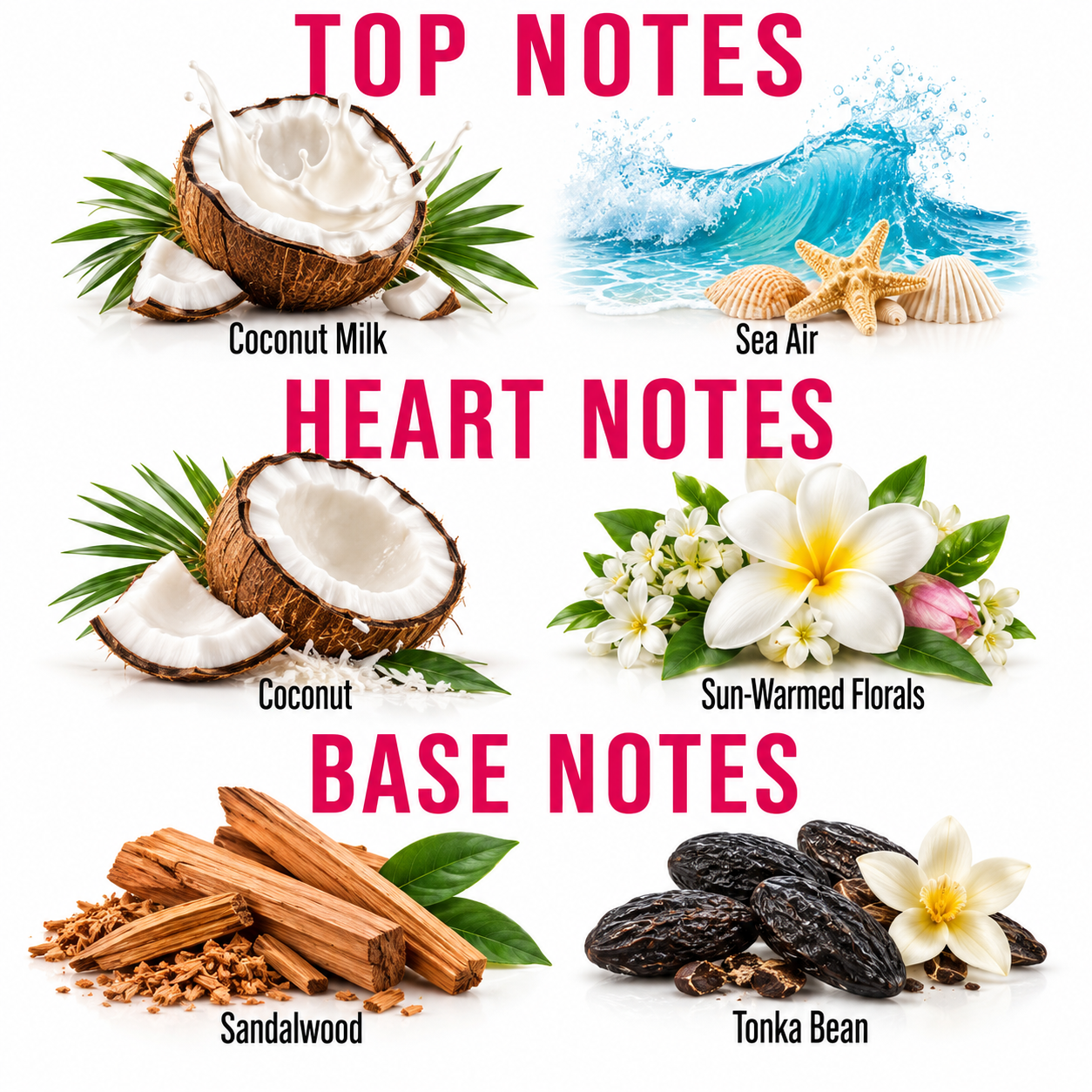 A fragrance notes graphic with six illustrated scent ingredients arranged in a grid and large pink text reading TOP NOTES, HEART NOTES, and BASE NOTES. The top row shows Coconut Milk and Sea Air; the middle row shows Coconut and Sun-Warmed Florals; the bottom row shows Sandalwood and Tonka Bean.