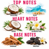 A fragrance notes graphic with six illustrated scent ingredients arranged in a grid and large pink text reading TOP NOTES, HEART NOTES, and BASE NOTES. The top row shows Coconut Milk and Sea Air; the middle row shows Coconut and Sun-Warmed Florals; the bottom row shows Sandalwood and Tonka Bean.