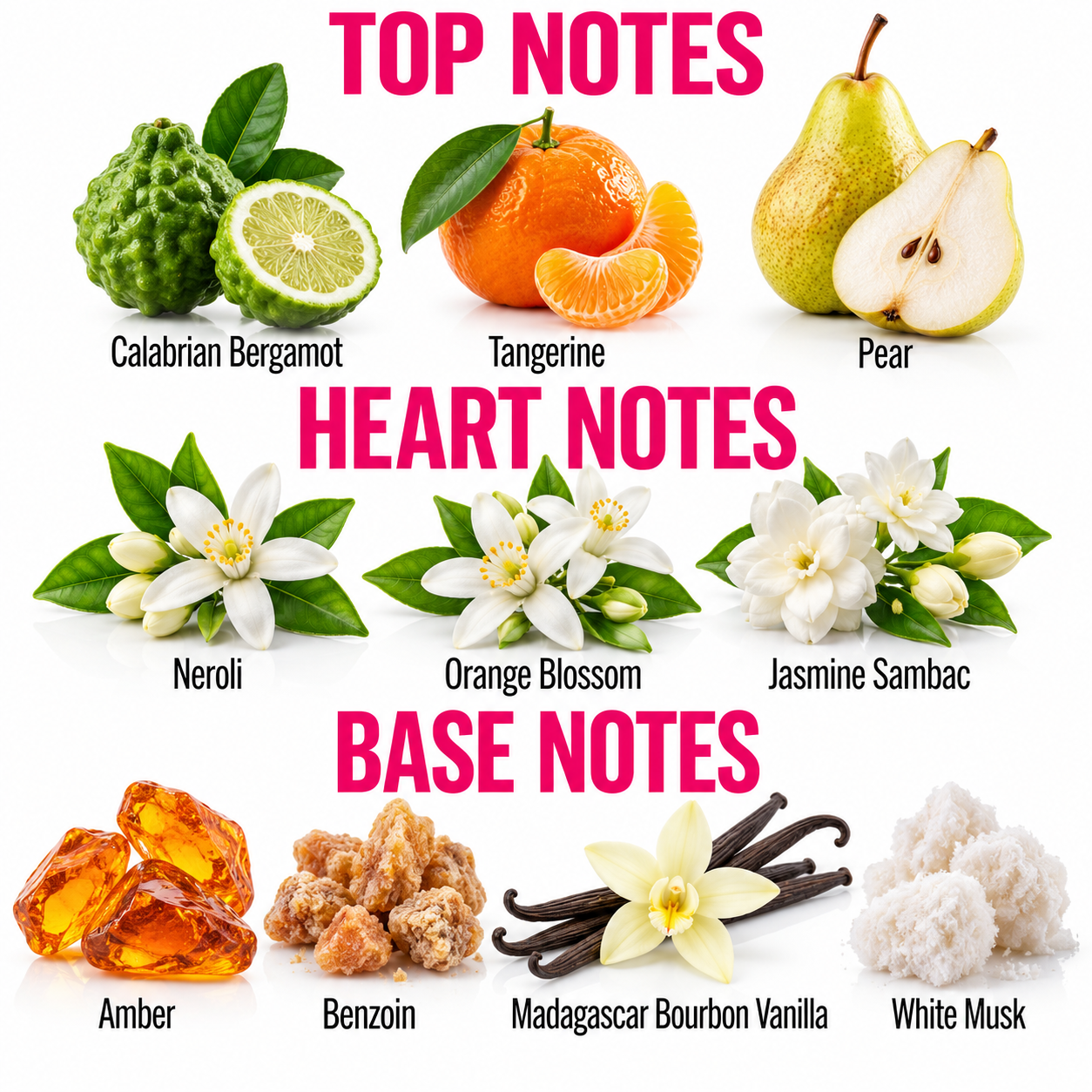A fragrance notes graphic with the headings TOP NOTES, HEART NOTES, and BASE NOTES on a white background. It shows illustrated/photographic fruit and flowers labeled Calabrian Bergamot, Tangerine, Pear, Neroli, Orange Blossom, Jasmine Sambac, Amber, Benzoin, Madagascar Bourbon Vanilla, and White Musk.