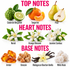 A fragrance notes graphic with the headings TOP NOTES, HEART NOTES, and BASE NOTES on a white background. It shows illustrated/photographic fruit and flowers labeled Calabrian Bergamot, Tangerine, Pear, Neroli, Orange Blossom, Jasmine Sambac, Amber, Benzoin, Madagascar Bourbon Vanilla, and White Musk.