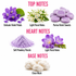 Parma Violets Fragrance Oil notes featuring delicate violet petals, light florals, Parma Violet sweets, soft powdery florals and clean musk on a white background.