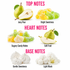A fragrance notes graphic on a white background with pink headers reading TOP NOTES, HEART NOTES, and BASE NOTES. The top notes section shows a green pear and bright yellow-green candy pieces labeled Juicy Pear and Bright Sweetness.