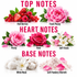 A fragrance notes graphic with the headings TOP NOTES, HEART NOTES, and BASE NOTES. Top notes shown include red berries, fresh peony, peony, rose, and soft florals.