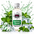 A bottle of Fizzy Whiz Peppermint & Spearmint Fragrance Oil centered against a white background with a green splash, mint leaves, ice cubes, and striped peppermint candies. The bottle has a white label with green and black branding.