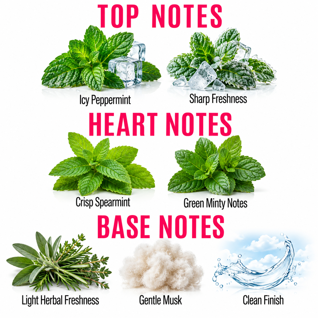 A fragrance notes graphic on a white background with pink headers reading TOP NOTES, HEART NOTES, and BASE NOTES. Fresh green mint/herbal imagery appears above each section, with labels including Icy Peppermint, Sharp Freshness, Crisp Spearmint, Green Minty Notes, Light Herbal Freshness, Gentle Musk, and Clean Finish.